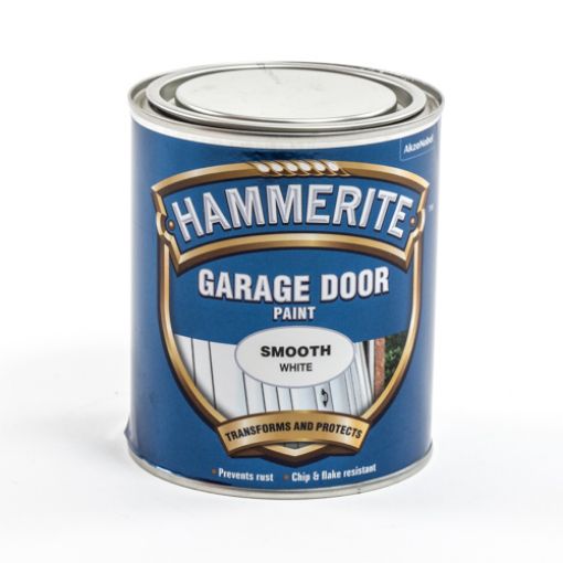 Picture of Garage Door Paint White