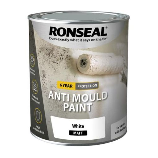Picture of 6 Year Anti-Mould Paint White Matt 750ml