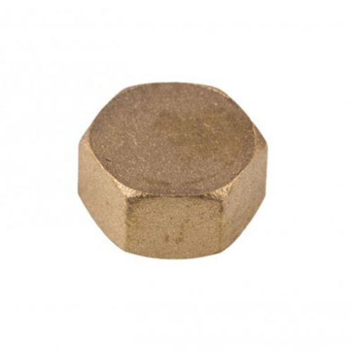 Picture of Brass Blanking Cap 1"