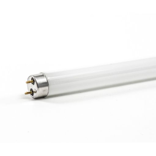 Picture of Triphosphor Fluorescent Tube T8 70w White 6