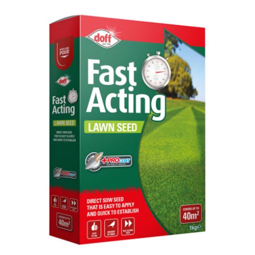 Picture of Fast Growing Lawn Seed 1KG