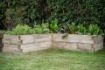 Picture of Caledonian Corner Raised Bed - 130 x 130cm (Home Delivered)