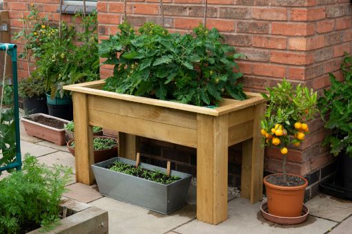 Picture of Grow Bag Tray Container - 1m (Home Delivered)