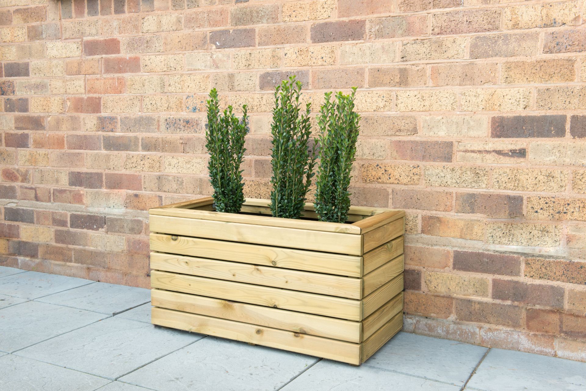 Picture of Linear Planter - Double (Home Delivered)