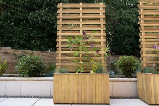 Picture of Living Screen Planter (Home Delivered)