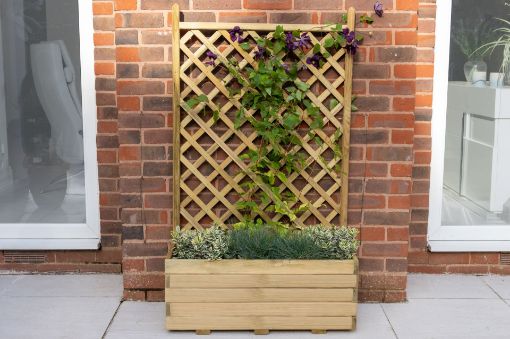 Picture of Trellis Planter (Home Delivered)