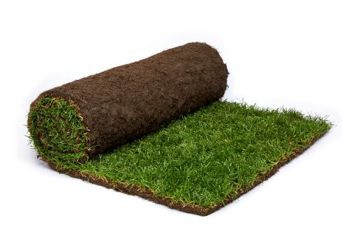Picture of Rolawn Medallion Turf (1 SQM per Roll, Pallet of 40 Rolls)