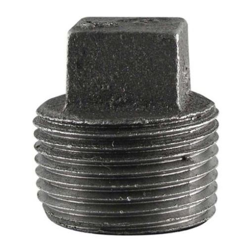 Picture of Black Iron 1/2in Plug